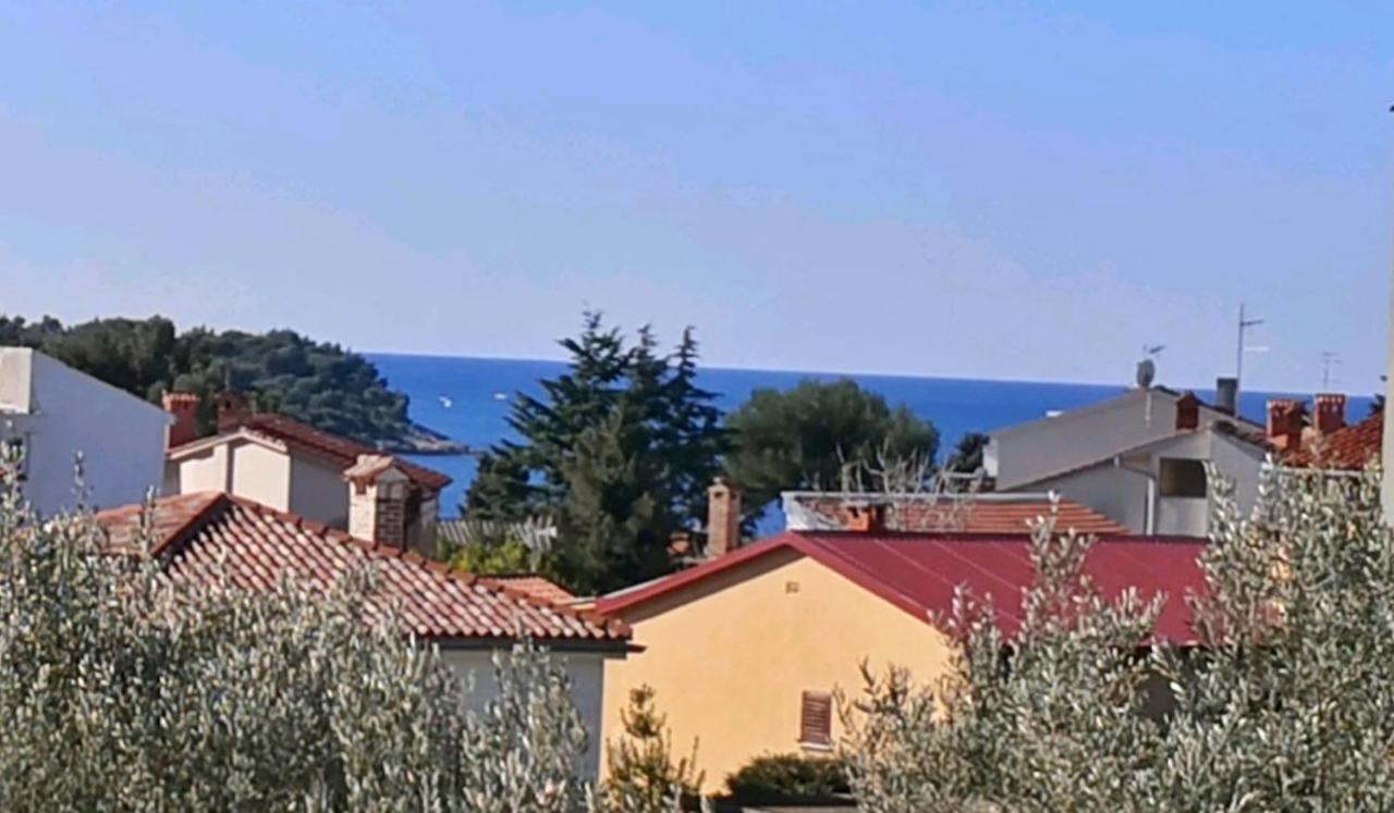 Apartman Emily, 6 Plus 2 Guests, Newly Refurbished Pula Buitenkant foto